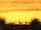 Tramonto sulla laguna