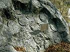 Roccia