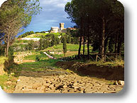 Parchi Val di Cornia