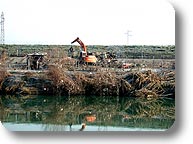 Demolizione di orti abusivi nell'Area Attrezzata del Molinello, Moncalieri