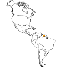 Suriname